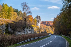 De Cracóvia: Parque Nacional Ojców e Castelo Ogrodzieniec
