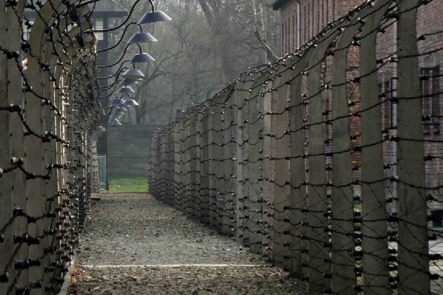 From Krakow: Private Transfer to Auschwitz-Birkenau