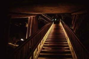 Da Cracovia: Tour privato della miniera di sale di Wieliczka