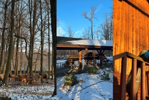 Von Krakau aus: Tagestour zum Schloss Pszczyna und zum Bisonreservat