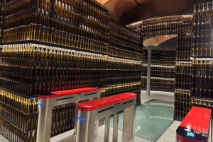 Von Krakau aus: Tagestour zum Schloss Pszczyna und zum Bisonreservat