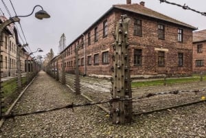 From Krakow: Roundtrip Transportation to Auschwitz Birkenau