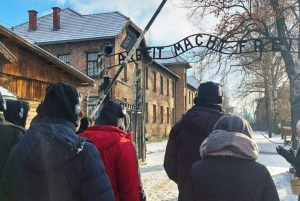De Cracóvia: Transporte de ida e volta para Auschwitz Birkenau
