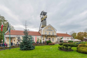 Desde Cracovia: Visita guiada a las Minas de Sal con servicio de recogida del hotel
