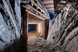 From Krakow: Salt Mine Guided Tour with hotel pick up