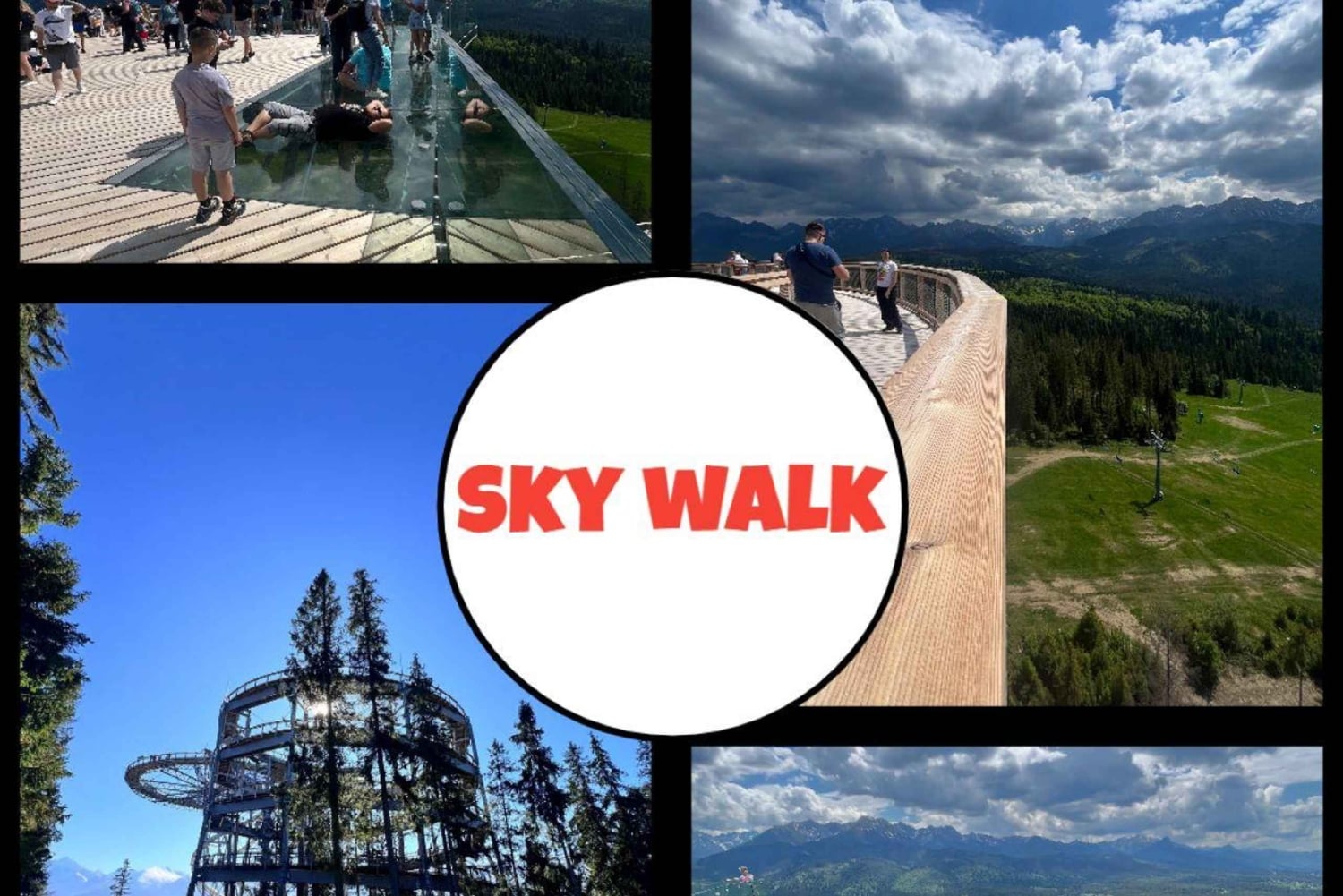 Krakovasta: Poroninin sydän