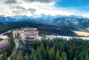 Krakovasta: Poroninin sydän