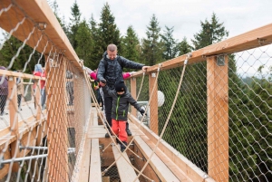 From Kraków: Slovakia Treetop Walk and Dunajec Rafting Tour