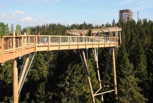 Von Krakau aus: Slowakische Baumkronenwanderung und Thermalbäder