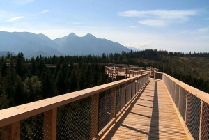 From Kraków: Slovakia Treetop Walk and Tour of Zakopane