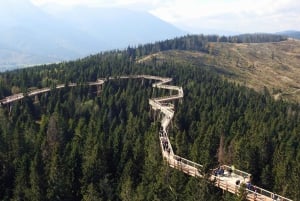 Vanuit Krakau: Slowakije Treetop Walk en Tour of Zakopane