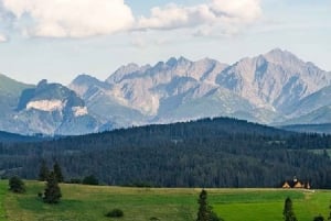 Von Krakau aus: Slowakische Baumkronenwanderung und Tour durch Zakopane