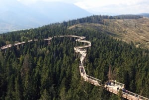From Kraków: Slovakia Treetop Walk and Tour of Zakopane