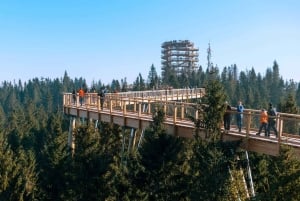 From Kraków: Slovakia Treetop Walk and Tour of Zakopane