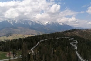 From Kraków: Slovakia Treetop Walk and Tour of Zakopane