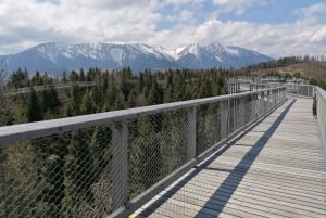 From Kraków: Slovakia Treetop Walk and Tour of Zakopane