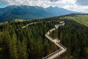 From Kraków: Slovakia Treetop Walk and Tour of Zakopane
