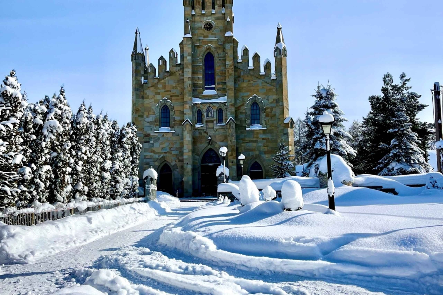 Da Cracovia: passeggiata sugli alberi in Slovacchia e tour di Zakopane