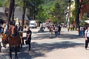 De Cracóvia: Caminhada na copa das árvores da Eslováquia e excursão a Zakopane