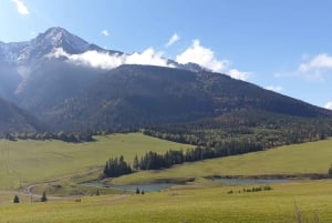 From Krakow: Slovakia Treetop Walk and Zakopane Tour