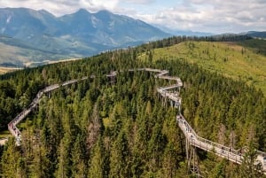 From Krakow: Slovakia Treetop Walk and Zakopane Tour