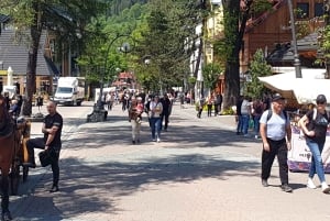 From Krakow: Slovakia Treetop Walk and Zakopane Tour