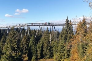 From Krakow: Slovakia Treetop Walk and Zakopane Tour