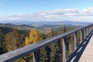 From Krakow: Slovakia Treetop Walk and Zakopane Tour