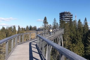 From Krakow: Slovakia Treetop Walk and Zakopane Tour