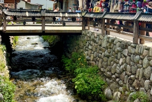 Da Cracovia: passeggiata sugli alberi in Slovacchia e tour di Zakopane