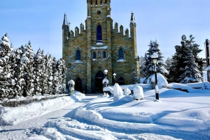 Da Cracovia: passeggiata sugli alberi in Slovacchia e tour di Zakopane