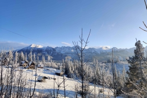 Da Cracovia: passeggiata sugli alberi in Slovacchia e tour di Zakopane
