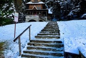 Da Cracovia: passeggiata sugli alberi in Slovacchia e tour di Zakopane
