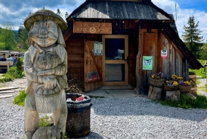 Da Cracovia: passeggiata sugli alberi in Slovacchia e tour di Zakopane