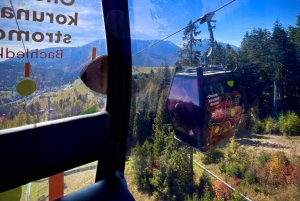 Da Cracovia: passeggiata sugli alberi in Slovacchia e tour di Zakopane