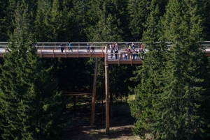 From Krakow: Slovakia Treetop Walk Bachledka Private Tour