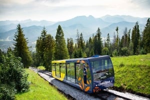 Krakow: Slovakia Treetop Walk & Zakopane in Tatra Mountains