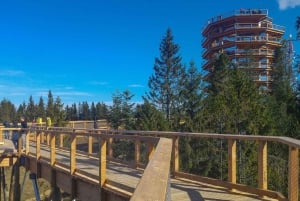 From Krakow: Slovakia Treetop Walk, Zakopane & Thermal Spa