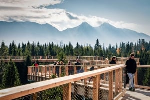From Krakow: Slovakia Treetop Walk, Zakopane & Thermal Spa