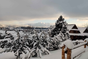 Fra Krakow: Snøscootereventyr og tur til de termiske badene