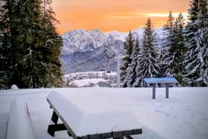 Von Krakau aus: Schneemobil-Abenteuer mit Besuch der Thermalbäder