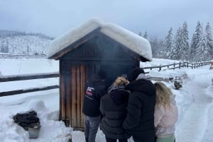 From Krakow: Snowmobile & Thermal Baths Zakopane Tour