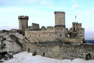 Från Krakow: Privat resa till Ogrodzieniec-slottet i 'The Witcher'