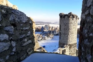 De Cracóvia: Viagem particular ao castelo Ogrodzieniec de 'The Witcher'