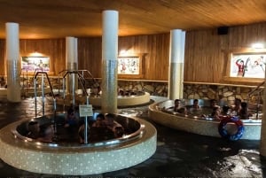 Da Cracovia: esperienza serale o mattutina alle terme