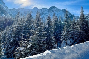Fra Krakow: Tur til Zakopane med smagning og afhentning på hotel
