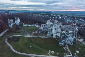 Z Krakowa: Jednodniowa wycieczka Szlakiem Orlich Gniazd