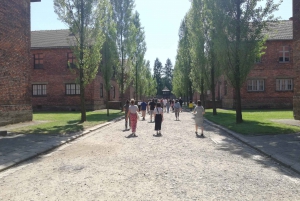 From Krakow: Transfer to Auschwitz-Birkenau Self-Guided Tour