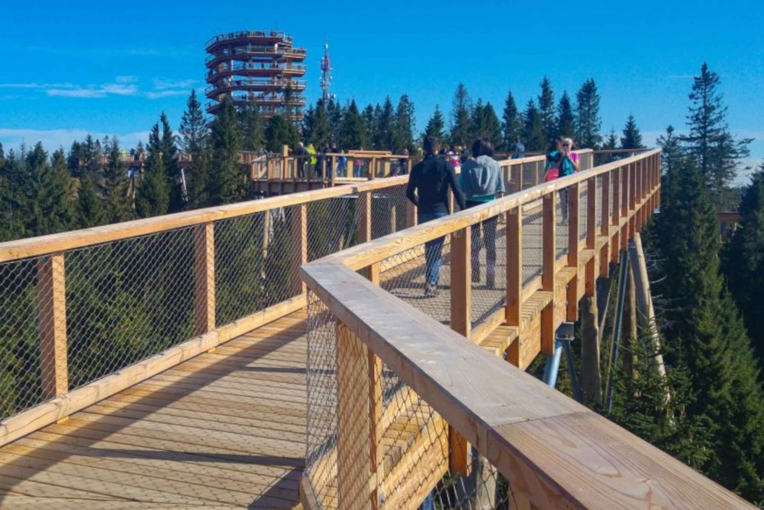 From Krakow: Treetop Walk in Slovakia and Thermal Baths Tour