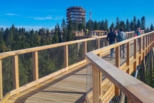 Da Cracovia: passeggiata sulle cime degli alberi in Slovacchia e tour delle terme